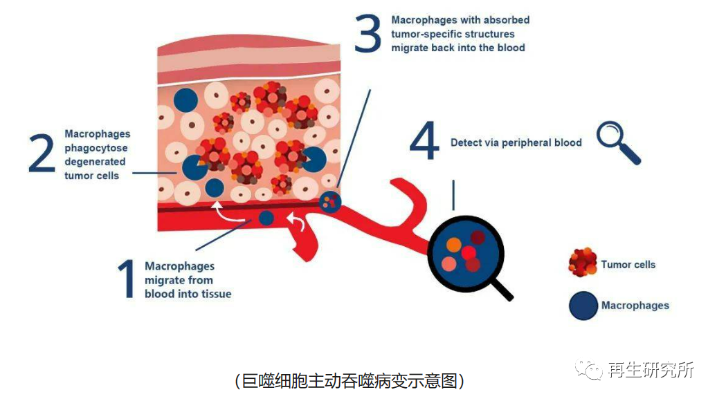 &#20048;&#40060;&#23448;&#26041;&#32593;&#39029;&#29256;&#45;&#108;&#101;&#121;&#117;&#40;&#20013;&#22269;&#41;